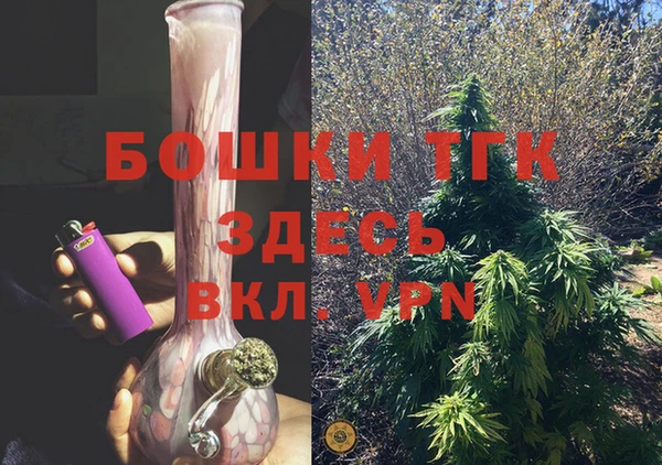 дмт Медвежьегорск