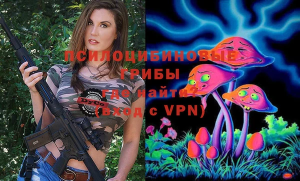бошки Мегион