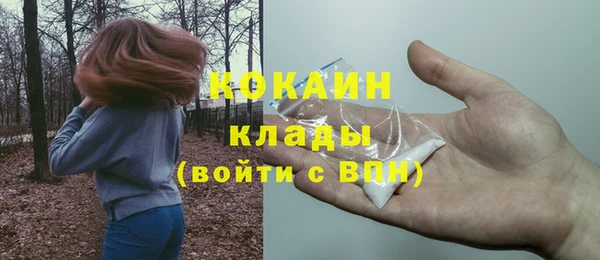 бошки Мегион