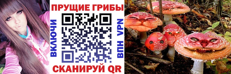 Галлюциногенные грибы MAGIC MUSHROOMS  мега как зайти  Хабаровск 